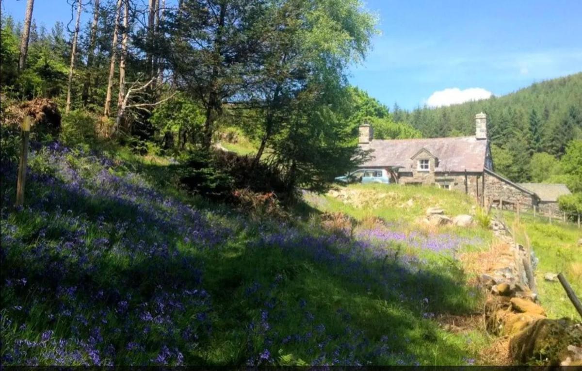דולגלאו Tyn Y Simdde - Secluded Mountain Stay - Stunning Views Of Eryri מראה חיצוני תמונה