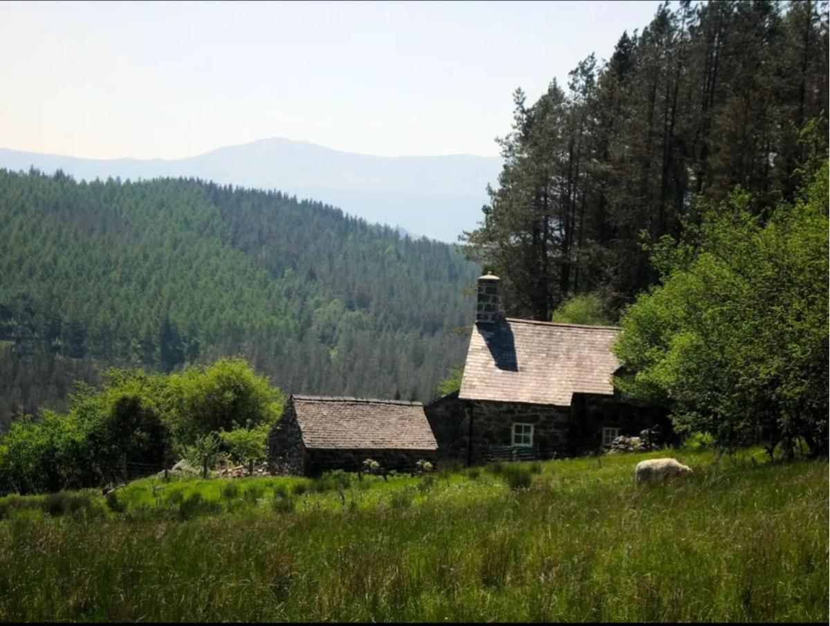 דולגלאו Tyn Y Simdde - Secluded Mountain Stay - Stunning Views Of Eryri מראה חיצוני תמונה
